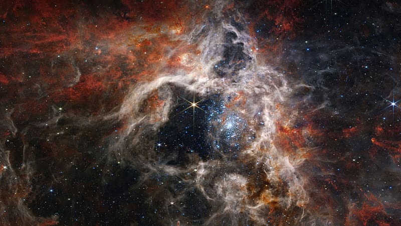 Tarantula Nebula, tarantula-nebula, nebula, digital-universe, artist, artwork, digital-art, HD wallpaper