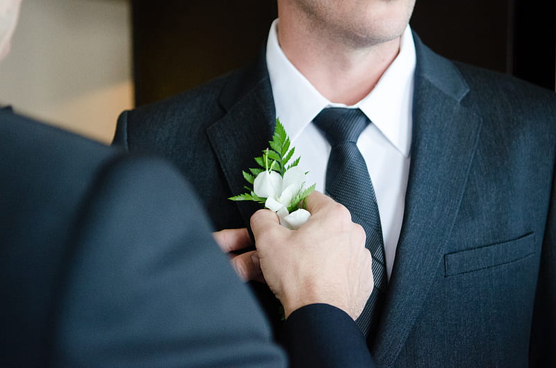 man attaching flower on another man's lapel in a well-lit room, HD wallpaper