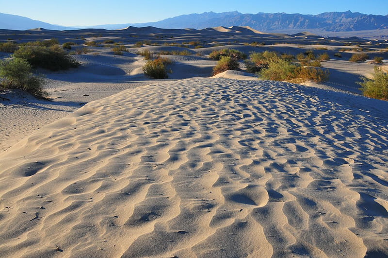 Death valley sanddunes, death valley, nevada, sand, desert, usa, dune, HD wallpaper
