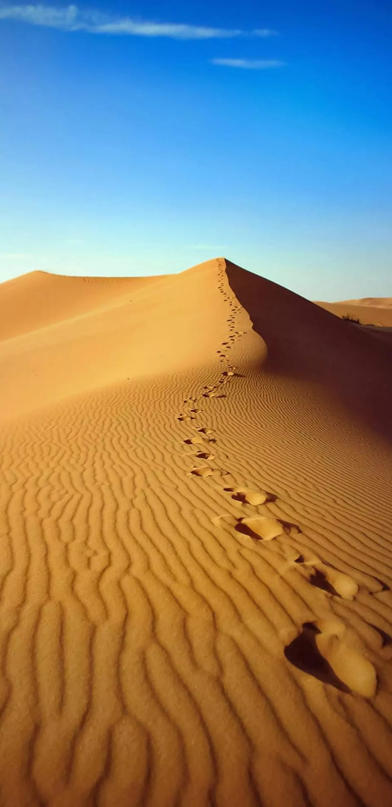 Beautiful Desert , footprints, sand, HD phone wallpaper