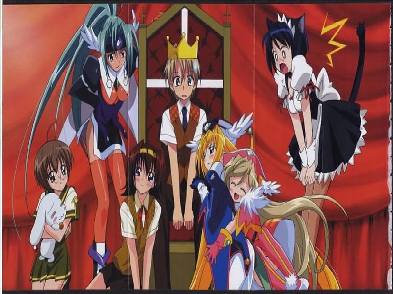 UFO Princess Valkyrie, cat maid, kazuto, neko, vakyrie, boy, anime, crown, girls, dog, HD wallpaper
