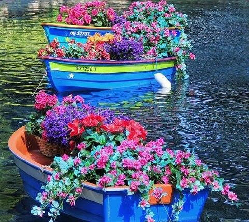 Dinghy Flowers, bonito, boat, flower, lake, HD wallpaper