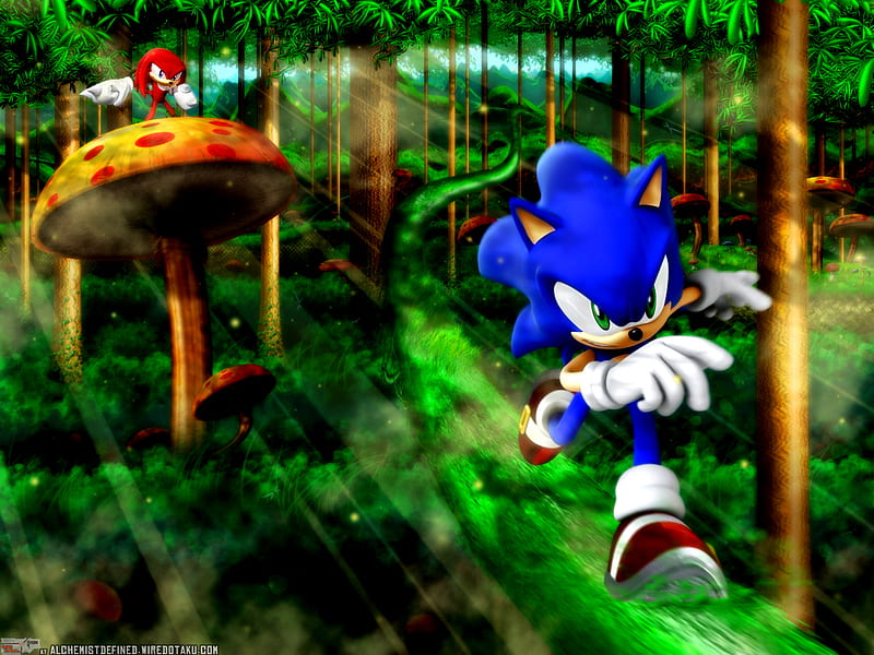 Sonic the Hedgehog 3 Wallpaper