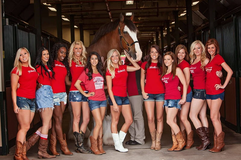 Budweiser Cowgirls, Model, Beer, Beautys, Horse, HD wallpaper