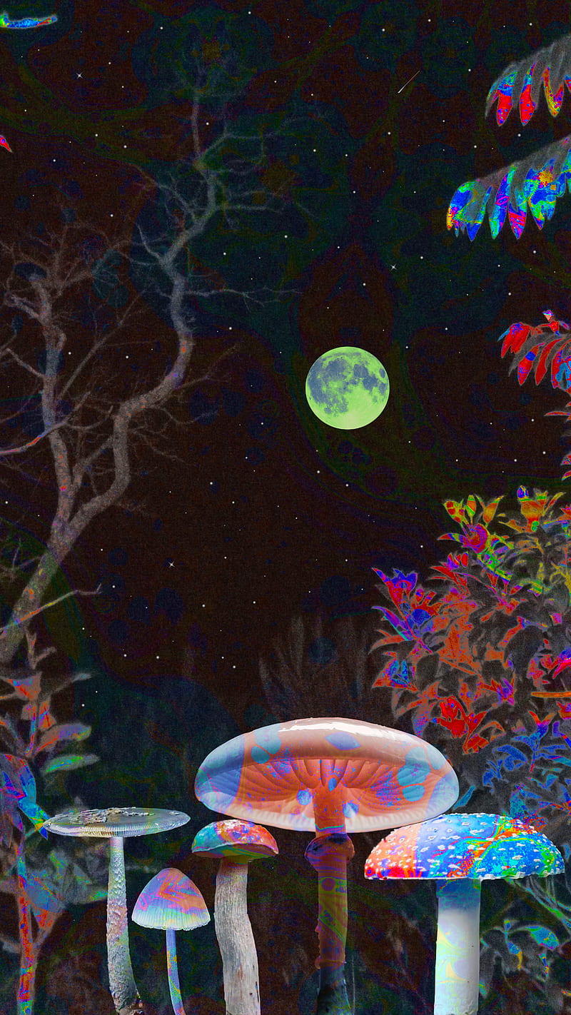 HD wallpaper trippy psychedelic mushroom magic mushrooms fantasy art   Wallpaper Flare