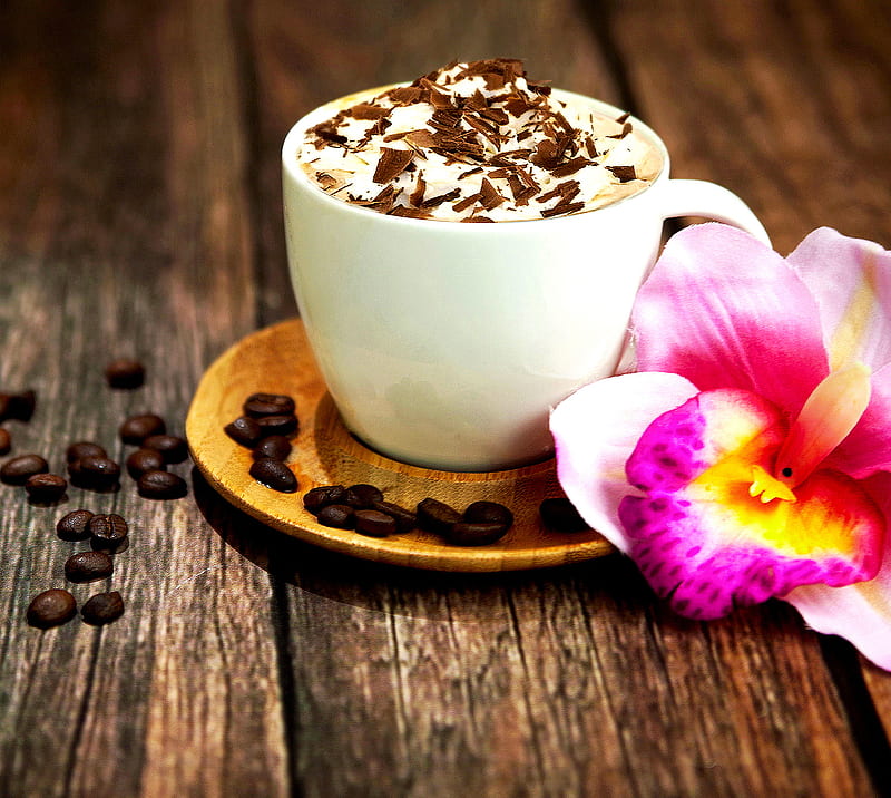 Cappuccino, chocolate, coffee bean, flower new, wood, HD wallpaper