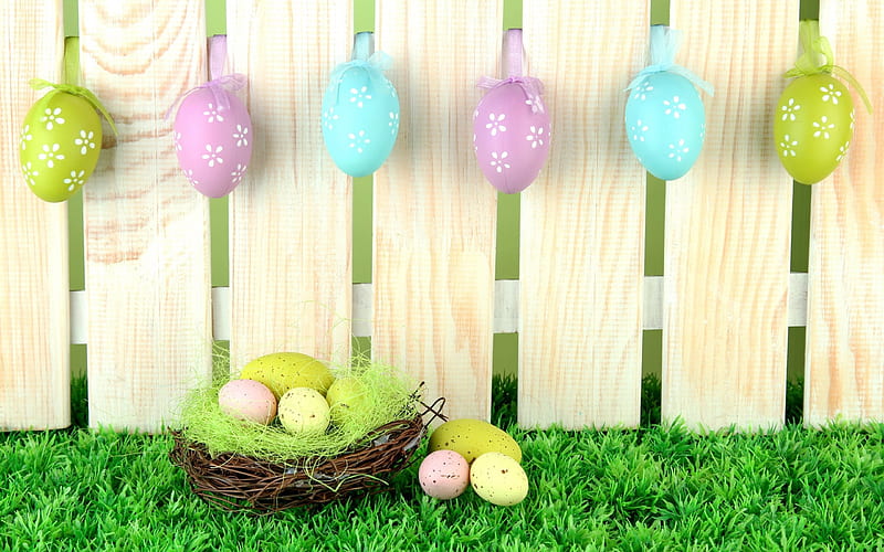 Easter eggs, spring, colorful eggs, fence, green grass, HD wallpaper