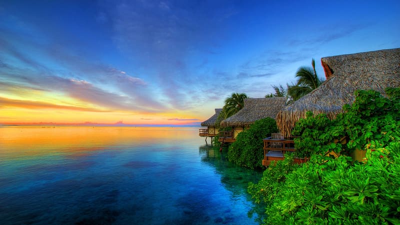 Sunset at the island of Moorea, Tahiti, sea, coast, plm, trees, clouds, colors, sky, water, tropical, HD wallpaper