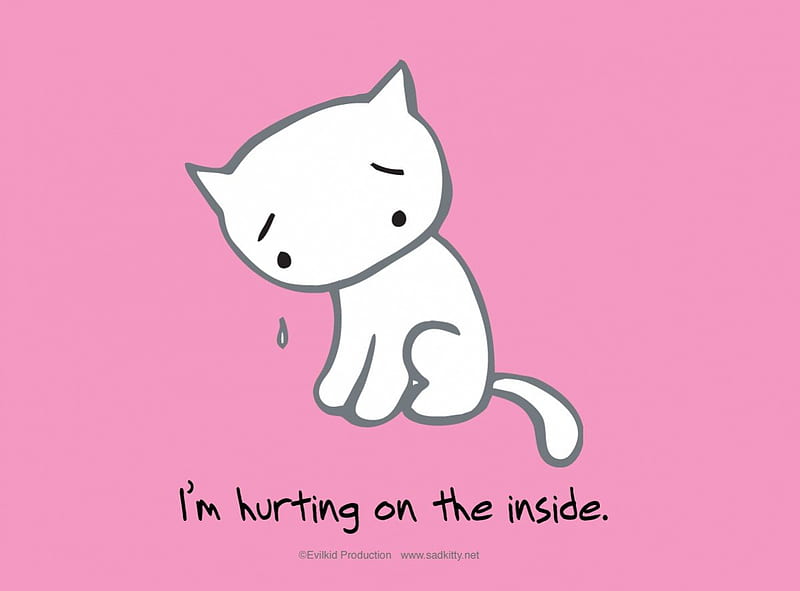 Sad cat, sasd, empty, hurt, pink, HD wallpaper | Peakpx