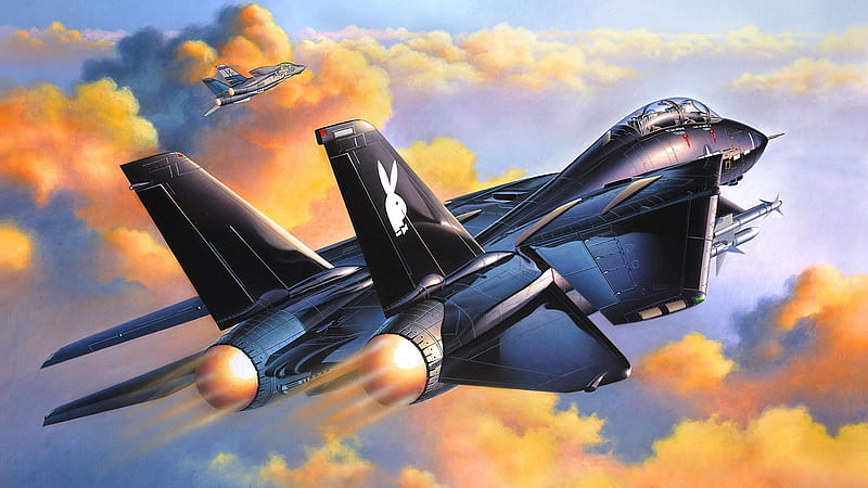 Grumman F14 tomcat plane HD phone wallpaper  Peakpx