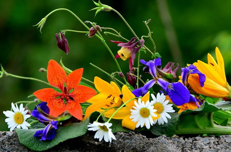 Summer Bouquet, Lilies, Irises, bouquet, summer, flowers, Daisies, Orchids, HD wallpaper