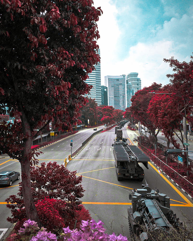False colour, army, blue, parade, red, road, singapore, trees, HD phone wallpaper