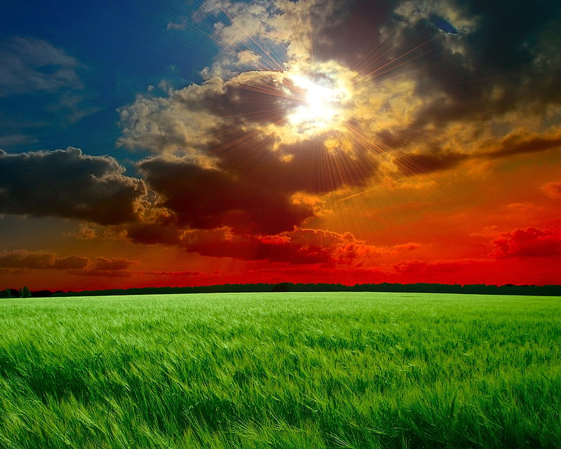 Landscape Grass, cloudy, dark nature, meadow, sunrise, HD wallpaper