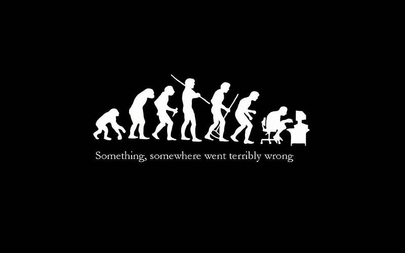 Evolution, nice, cool, good, laugh, funny, HD wallpaper | Peakpx