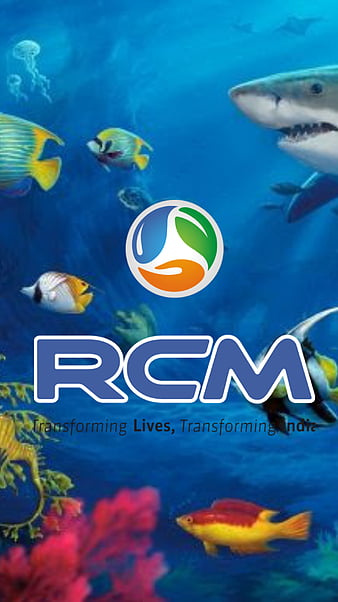 RCM Technologies, Inc. (RCMT) Stock News | Stock Titan