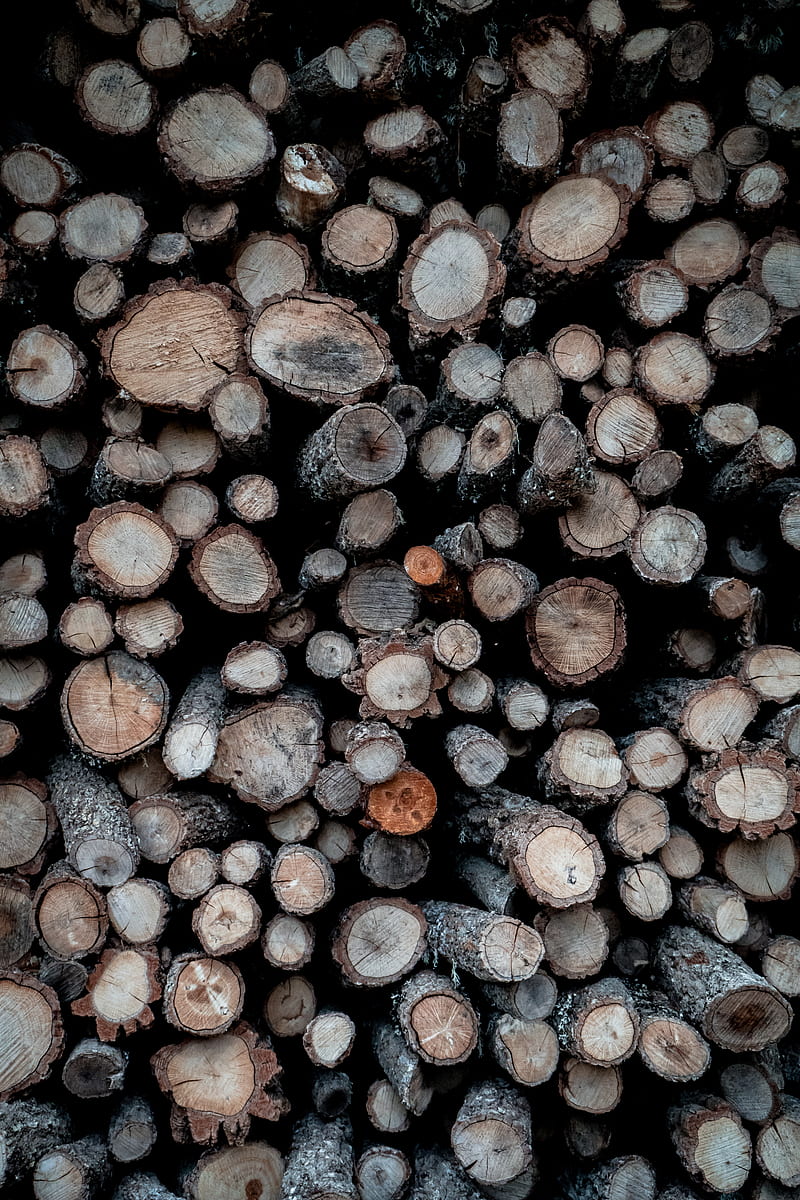 firewood, logs, wood, wooden, HD phone wallpaper