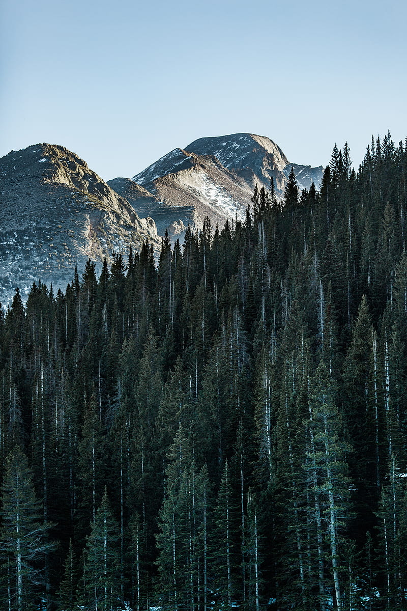 mountain, peak, trees, forest, sky, HD phone wallpaper