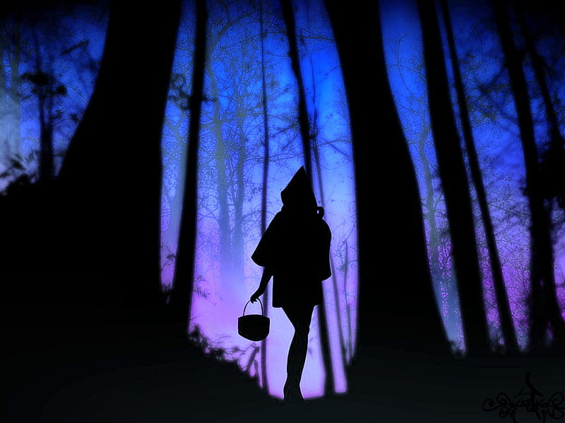 Beware of the big bad wolf, forest, hood, basket, trees, woman, blue, night, HD wallpaper