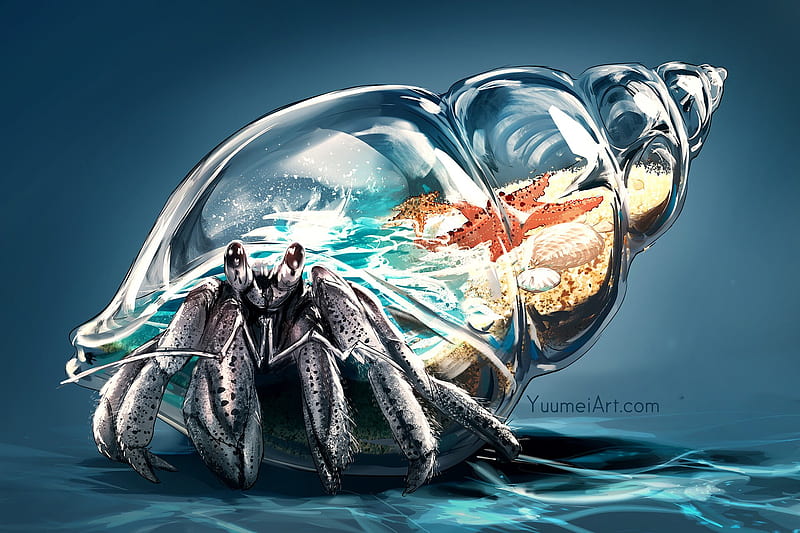 Worlds Within: Hermit Crab, HD wallpaper