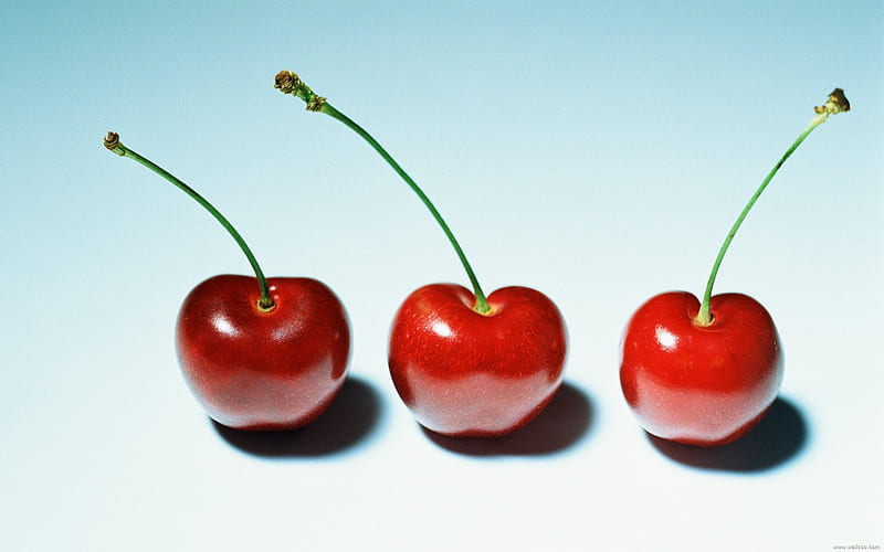 Fruit graphy Cherry, HD wallpaper
