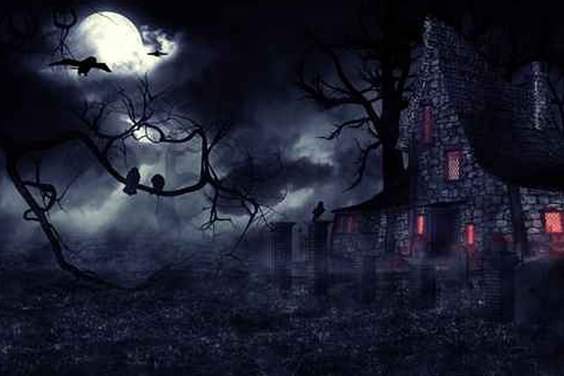 Haunted House, forest, death, halloween, dark, House, Haunted, night, HD wallpaper