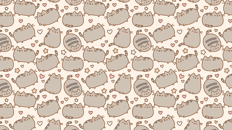 Pusheen cat cute HD phone wallpaper  Peakpx