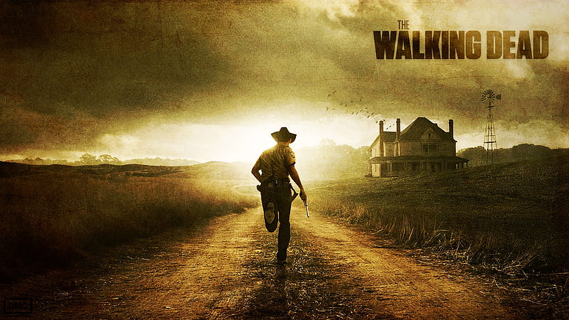 The Walking Dead, Fear The Living, Face The Dead, HD wallpaper