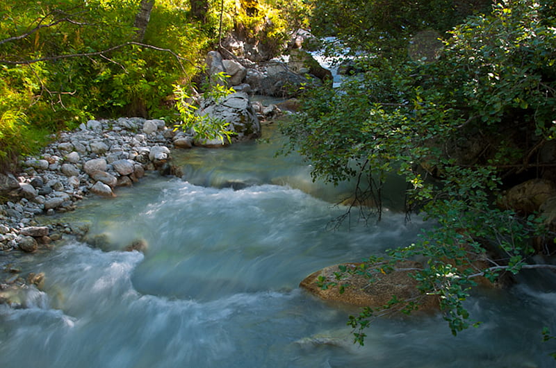 Torrent, nature, forests, rivers, HD wallpaper