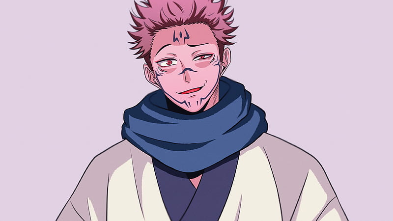 Jujutsu Kaisen Pink Hair Guy