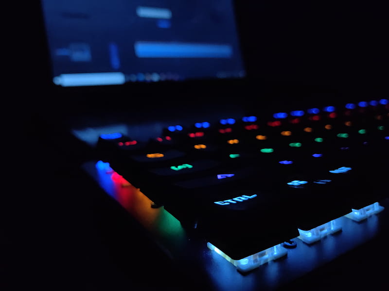 RGB Keyboard, computer, computers, family, gamer, inside, life, logo, notebook, shop, technology, HD wallpaper