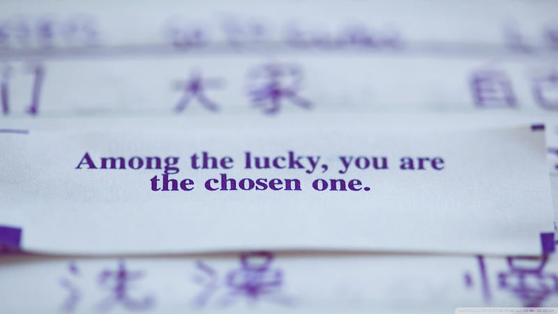 very positive fortune cookies, saying, fortune, positive, chinese, HD wallpaper