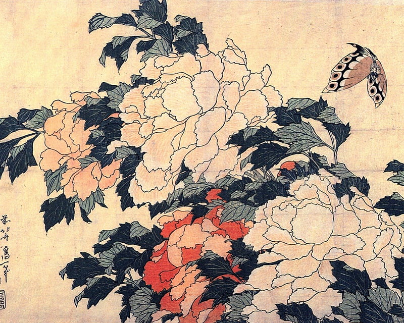 Katsushika Hokusai - Peonies and Butterfly, japan, print, woodblock, nineteenth century, HD wallpaper