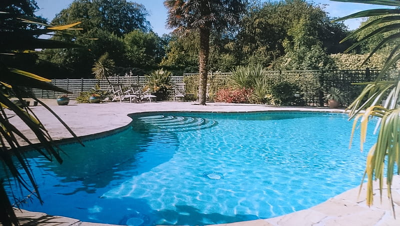 Swimming pool, Garden, leisure, Pool, Swimming, HD wallpaper
