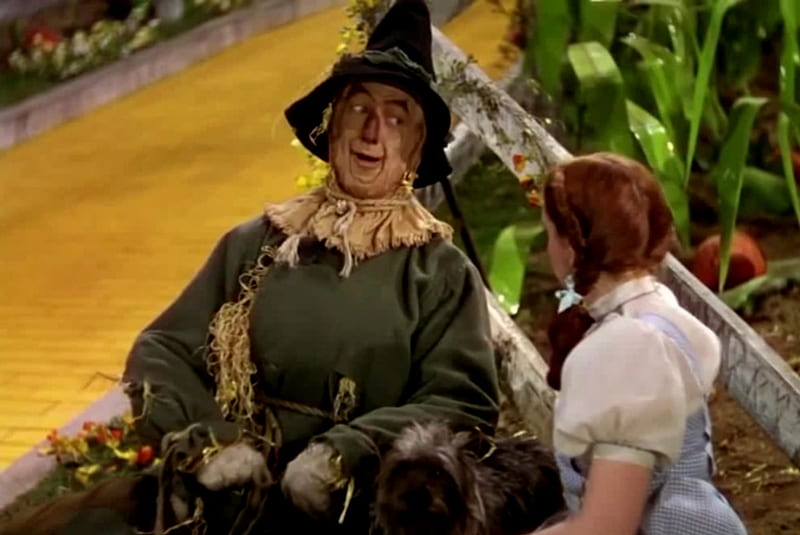 Only If I Brain (Wizard Of Oz), Entertainment, Scarecrow, Wizard, Movies, Girl, Oz, HD wallpaper