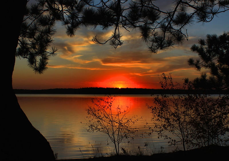 The Sun Is Shinning Like A Red Rubber Ball, Wisconsin, bonito, trees, clouds, sky, lake, HD wallpaper