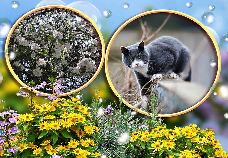 Cat, brass, animal, leaf, monument, green, statue, stone, nature