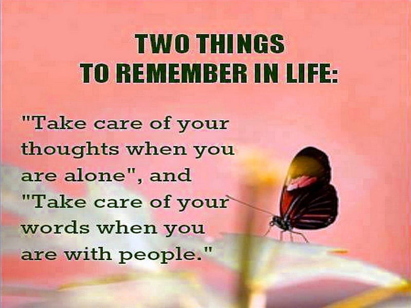 Two things, thoughts, remember, butterfly, quote, words, wise, HD wallpaper