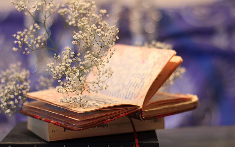 (≖‿≖), study, still life, nice, book, flowers, vintage, HD wallpaper