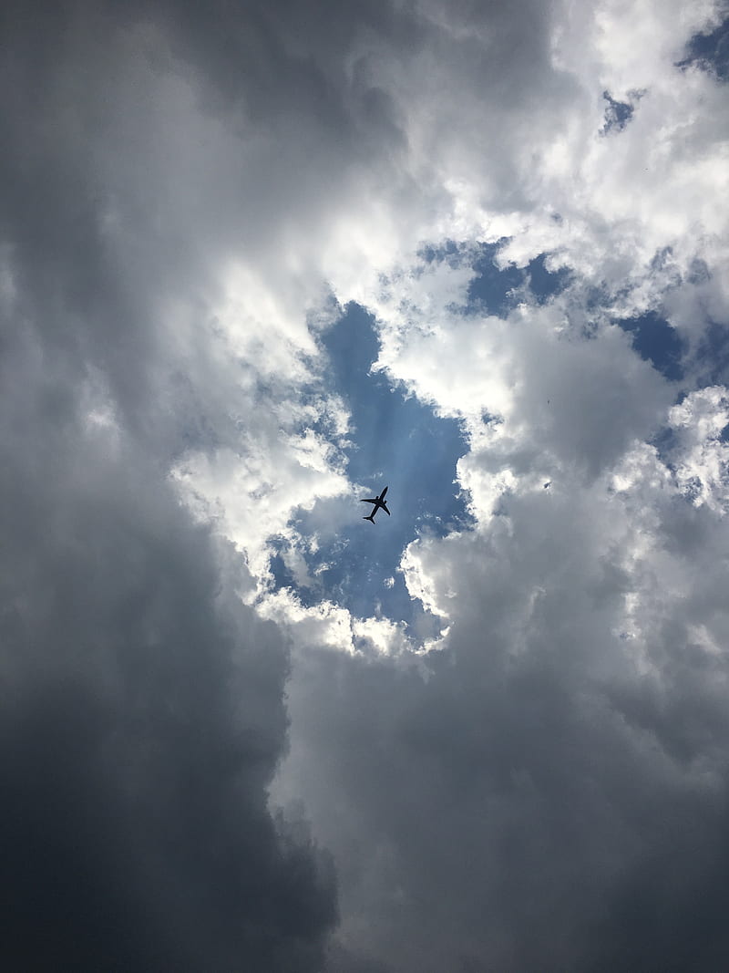 airplane, sky, bottom view, HD phone wallpaper