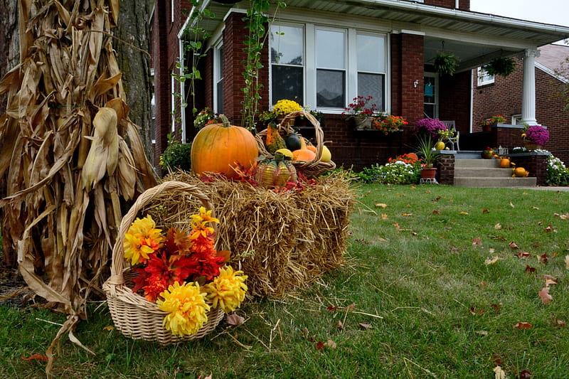 Harvest Decor, harvest, autumn decor, halloween decor, pumpkin, HD ...