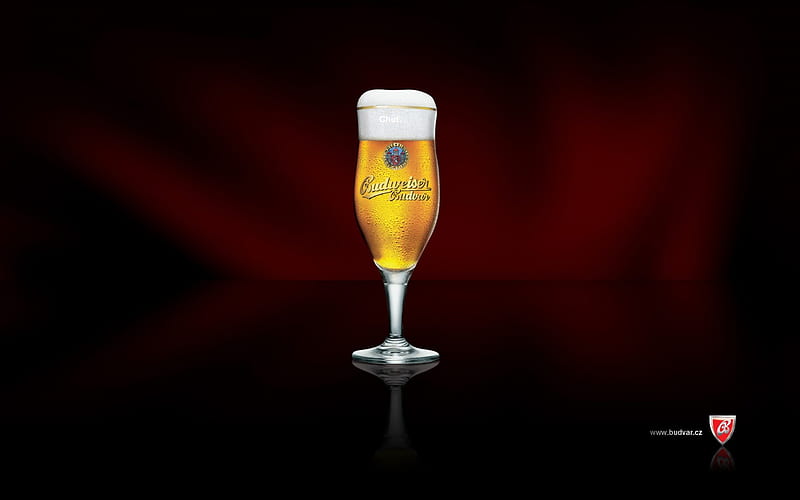 Budweiser Budvar Beer, glass, alcohol, budweiser, drink, beer, HD wallpaper