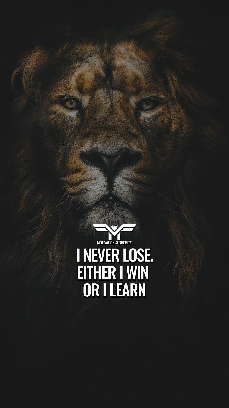 MotivationalQuote, king, lion, motivation, motivationalquotes, quote, HD  phone wallpaper | Peakpx