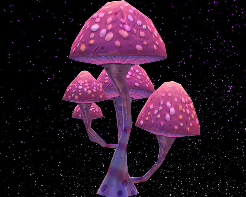 pink mushroom, gizzzi, night sky, purple, mushroom, pink, HD wallpaper