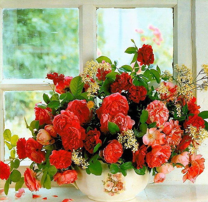 window dressing, table, window, bouquet, vase, roses, panes, HD wallpaper