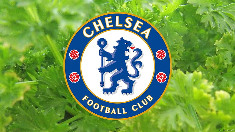 Chelsea F.C., ChelseaFC, Chelsea FC, Chelsea, Football, Soccer, Logo, Club, Sport, Emblem, Team, HD wallpaper