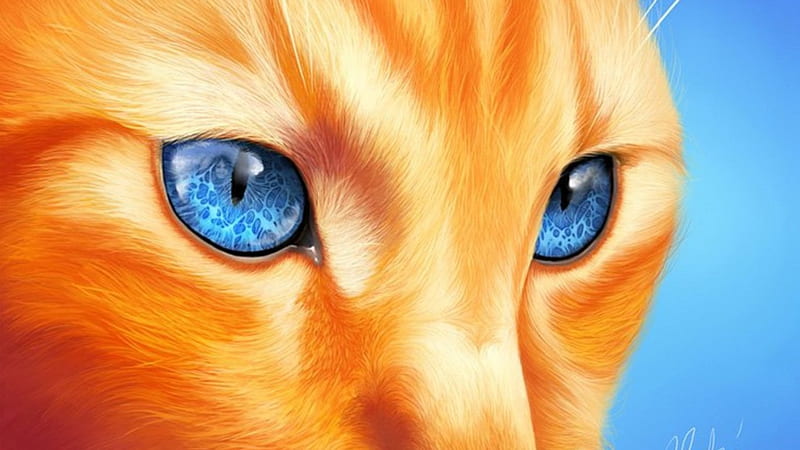Blue Eyes, fantasy, orange, tabby, cat, HD wallpaper