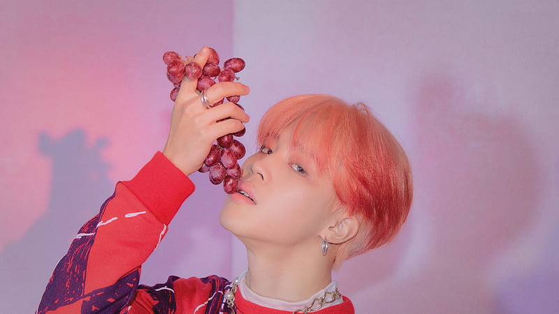 Jimin K-Pop Singer Is Eating Red Grapes Wearing Red Black Dress Standing In Pink Wall Background Jimin, HD wallpaper