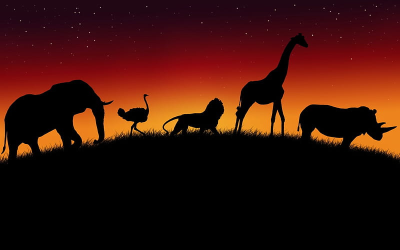 african animals, ostrich, elephant, hippo, giraffe, lion, HD wallpaper