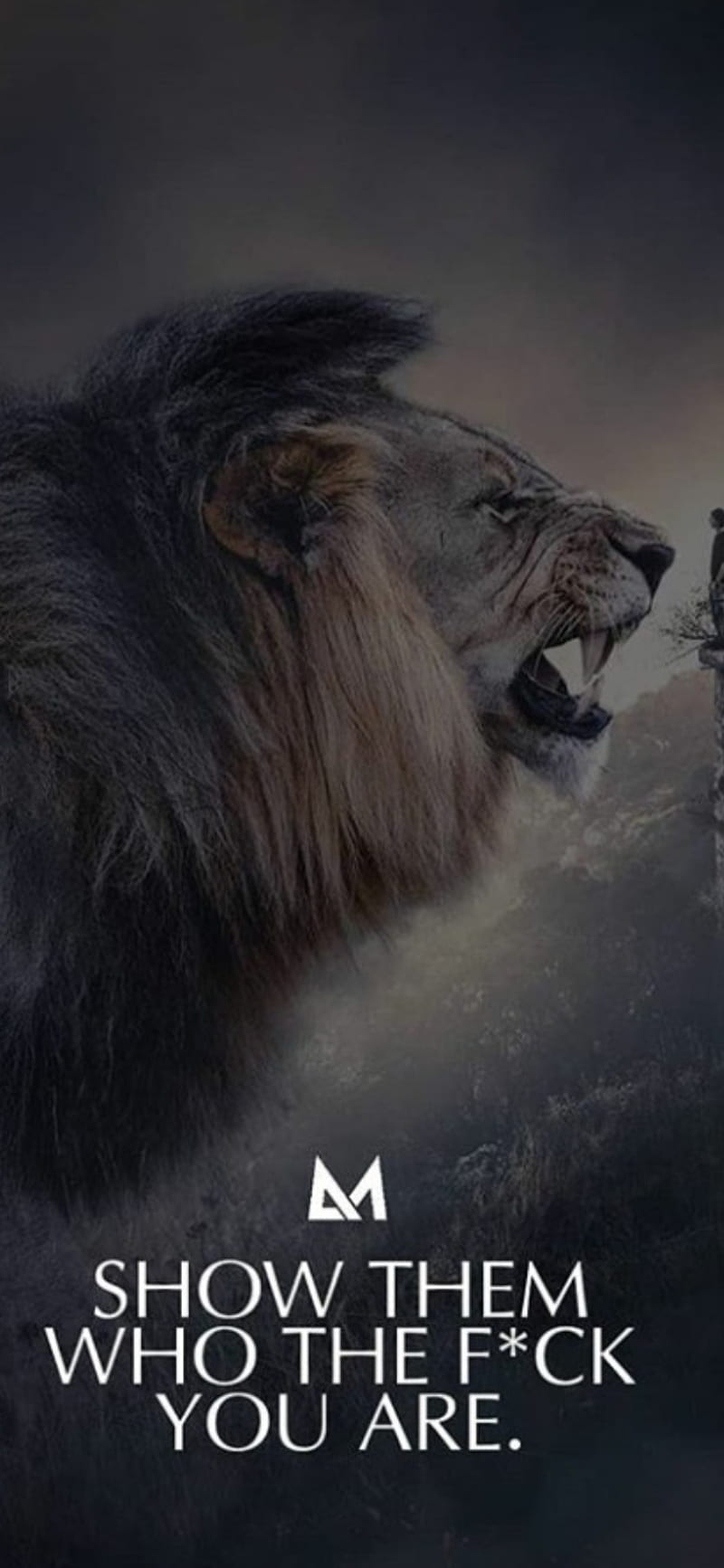HD lion quote wallpapers | Peakpx