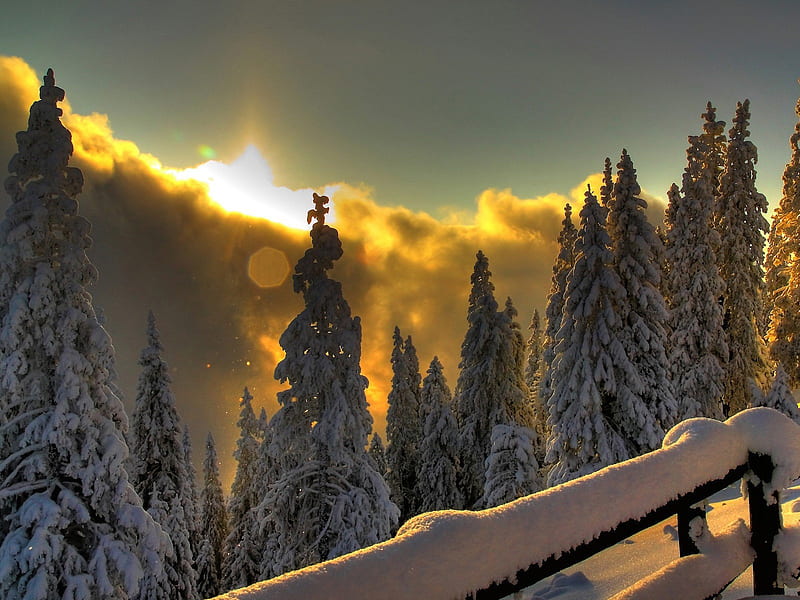 Seeing the Winter sun, background, sunset, snowy, firs, afternoon, nice, gold, multicolor landscapes, bright, paisage, sunbeam, sunrises, quiet, brightness, beautiful place, winter, sunrays, tranquil, snow, mountains ambar, bonito, seasons, cold, leaves, roots, amber, scenery, beije, night, maroon, paisagem, icy, dark, day, nature branches, gazebo, pc, scene, high definition, yellow, clouds, cenario, lightness, calm, scenario, vision, beauty, forests, evening, sunrise, paysage, cena, golden, black, trees, pines, sky, panorama, water, cool, serenity, awesome, computer, ice, sunshine, hop, fullscreen, fence, colorful, brown, gray, sunny graphy, waterscapes, darkness, sunsets, belvedere, light, amazing multi-coloured, view, place, colors, leaf, observatory, serene, colours, frozen, natural, HD wallpaper